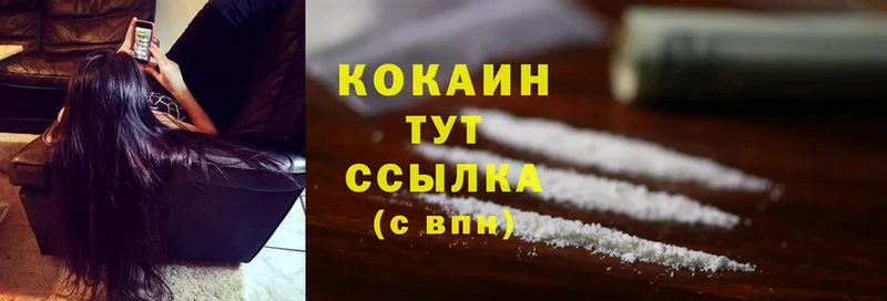 Cocaine Fish Scale  MEGA маркетплейс  Кизел  сколько стоит 